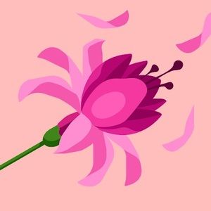 Meet your Posher, Ana